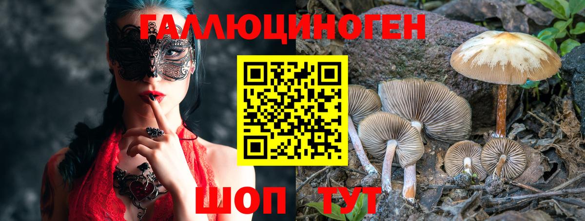 Галлюциногенные грибы MAGIC MUSHROOMS  Вход с VPN  Петрозаводск 